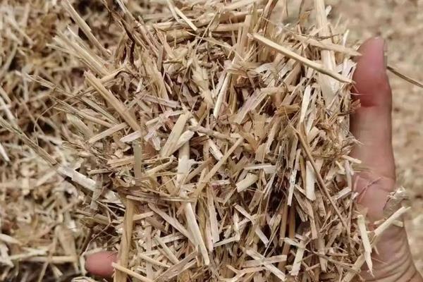 青贮饲料的制作方法步骤,青贮饲料的优点