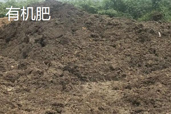 有机肥和菌肥有什么区别