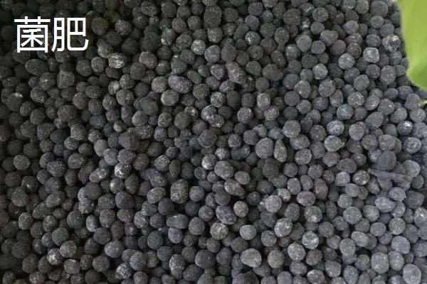 有机肥和菌肥有什么区别