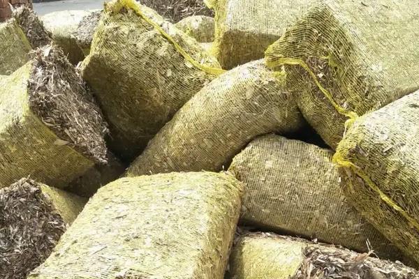 青贮饲料的制作方法步骤,青贮饲料的优点