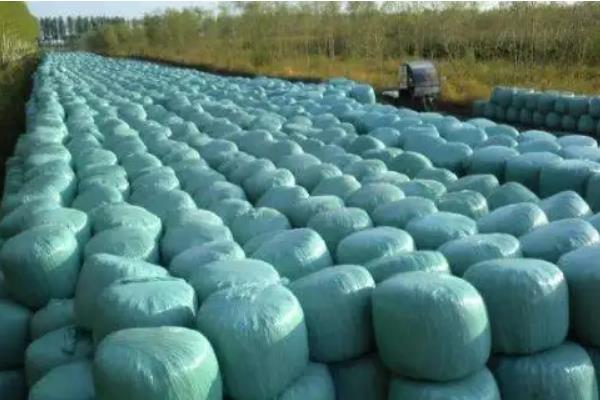 青贮饲料的制作方法步骤,青贮饲料的优点