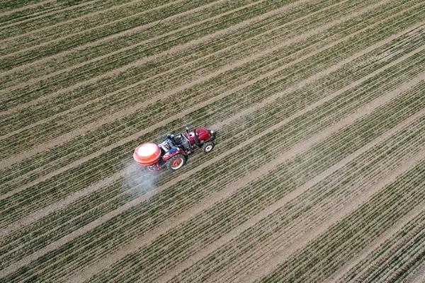 小麦返青肥用尿素还是复合肥，如何给小麦使用尿素、复合肥和叶面肥