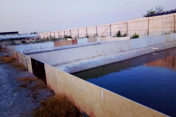 鳄鱼龟养殖技术方法,鳄鱼龟冬天会冬眠吗