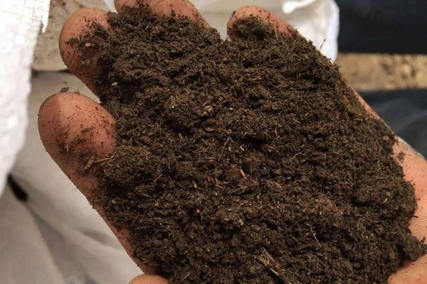 发酵鸡粪5大步骤,用什么发酵菌好