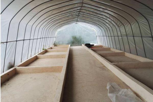 黑水虻怎么养殖,黑水虻卵存放温度