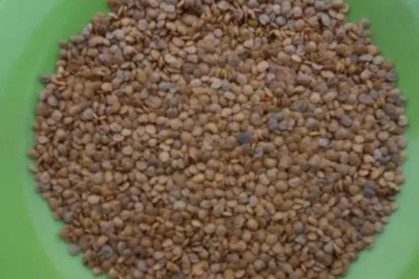 茄子的生活环境，附种植方法