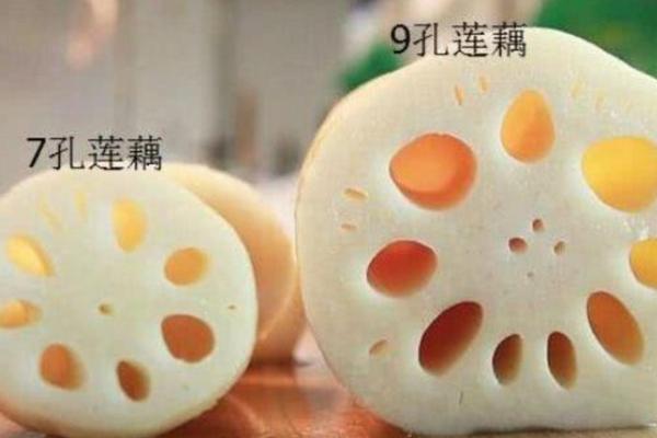 莲藕孔数的分别