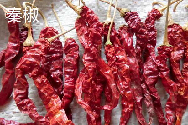 秦椒和二荆条辣椒区别
