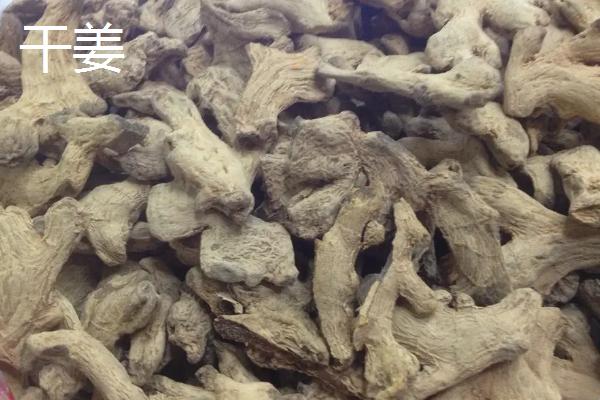 生姜干姜炮姜的区别