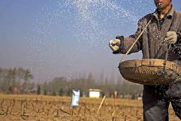 农业生产中测土配方施肥对化肥使用量有何影响,化肥使用过多有什么危害
