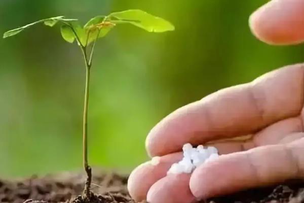 农业生产中测土配方施肥对化肥使用量有何影响,化肥使用过多有什么危害