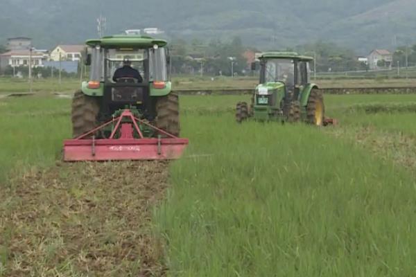 春耕备耕存在的问题和建议,春耕备耕指什么