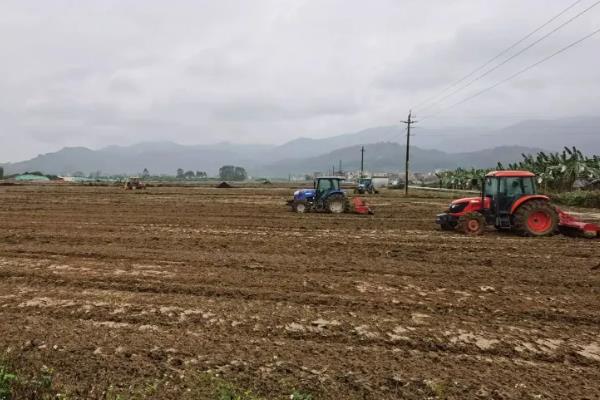 春耕备耕存在的问题和建议,春耕备耕指什么