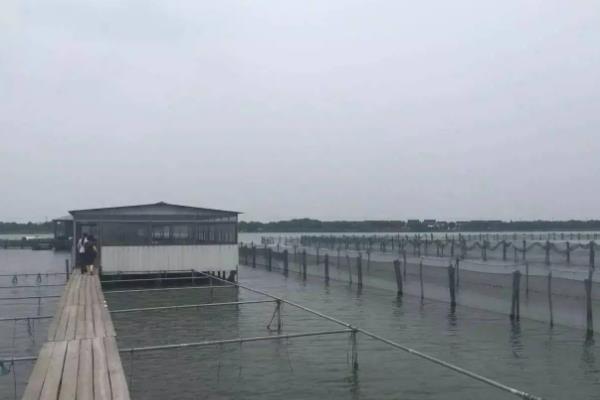 河蚌的幼虫为,附河蚌养殖技术