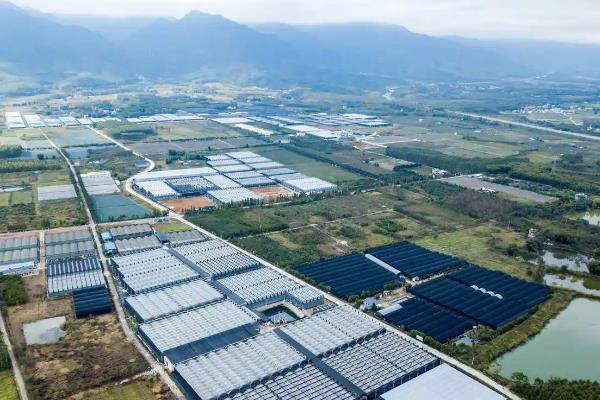 我国农业合作化的步骤是，生机农业是什么意思