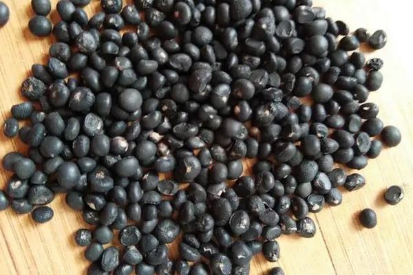 芦笋种植方法芦笋栽培技术,附种植时间