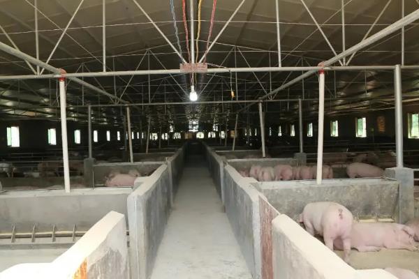 养殖申请书怎么写，养殖技术知识