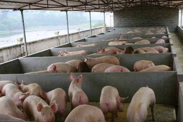 养殖申请书怎么写，养殖技术知识