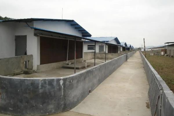 养殖申请书怎么写，养殖技术知识