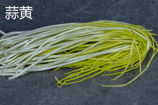 韭黄和蒜黄的区别