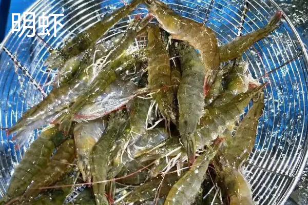 对虾和明虾的区别