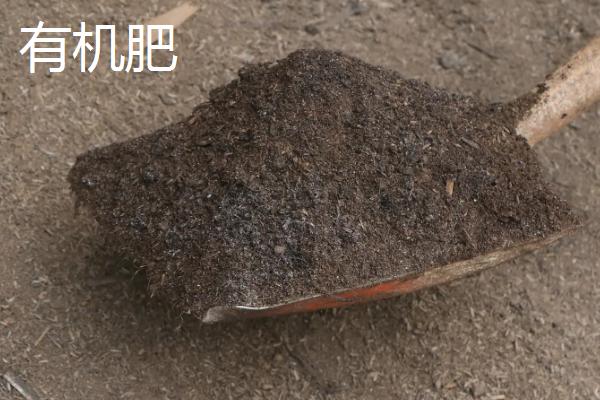 有机肥和无机肥的区别