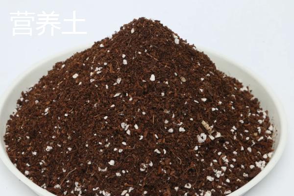 有机肥和营养土的区别