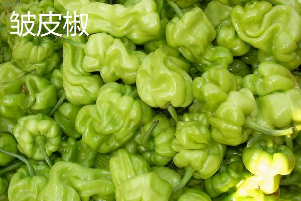 灯笼椒与皱皮椒区别