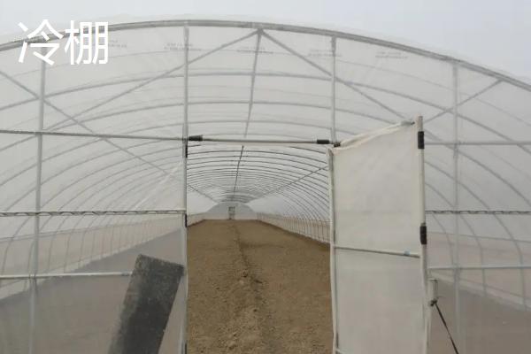 冷棚和暖棚的区别