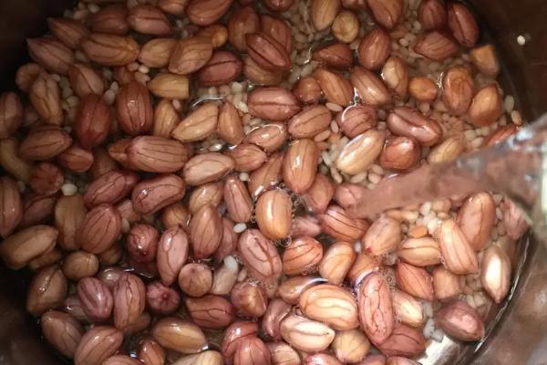 花生种下去几天发芽,附花生种植方法