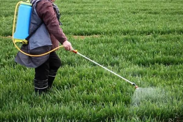 甲草胺与乙草胺的区别,可以同时用吗