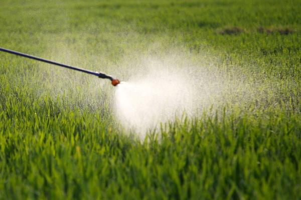 甲草胺与乙草胺的区别,可以同时用吗