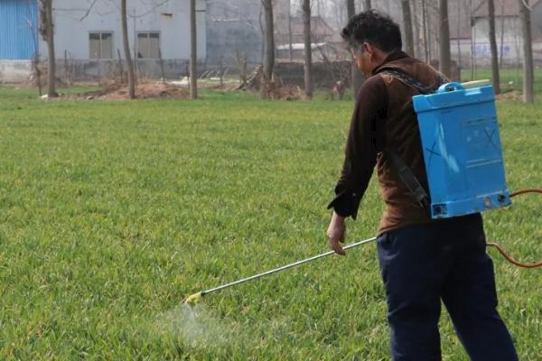 甲草胺与乙草胺的区别,可以同时用吗