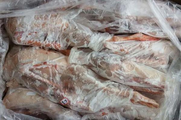 冰冻鹅为什么这么便宜,冰冻鹅肠怎么处理