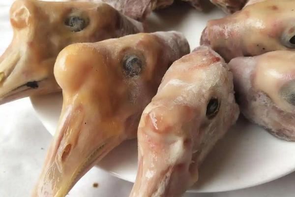 冰冻鹅为什么这么便宜,冰冻鹅肠怎么处理