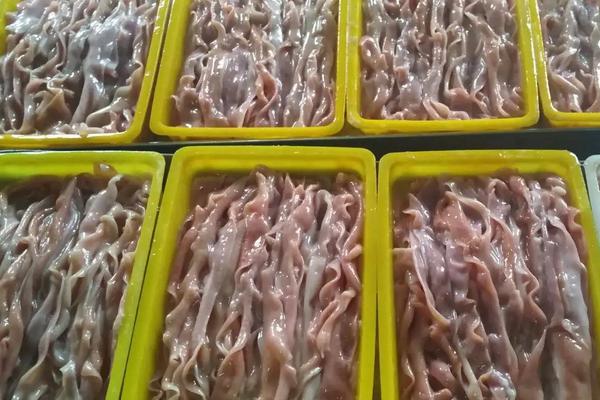 冰冻鹅为什么这么便宜,冰冻鹅肠怎么处理