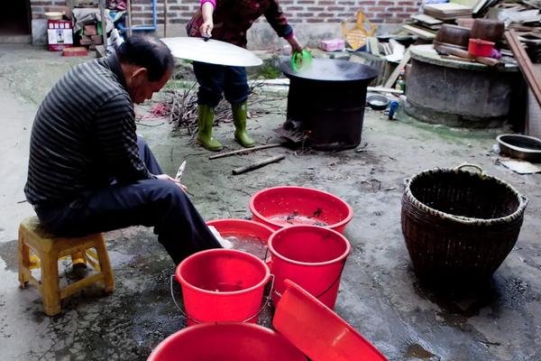 鹅为什么不能在家里杀，如何杀鹅又快又干净