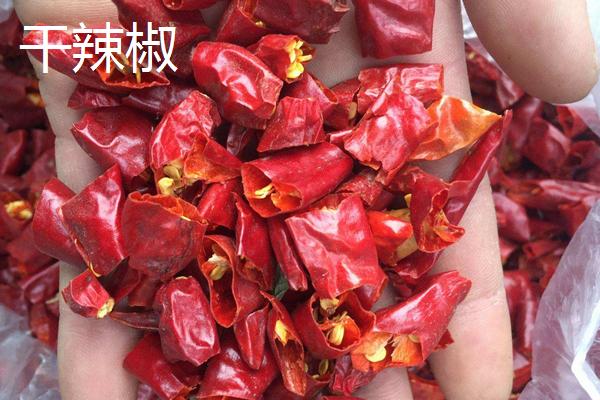 灯笼椒和干辣椒的区别