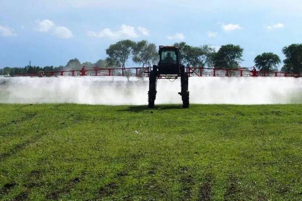 稳腾和拿敌稳区别，哪个效果更好