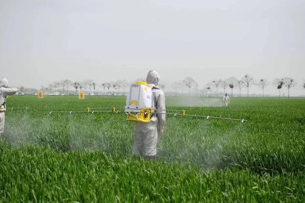 稳腾和拿敌稳区别，哪个效果更好