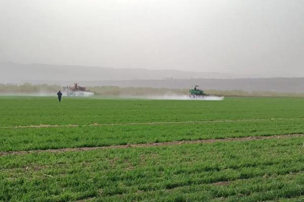 高效氯氟氰菊酯是什么东西,和氯氰菊酯的区别是什么