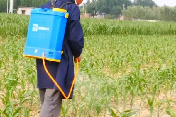 高效氯氟氰菊酯是什么东西,和氯氰菊酯的区别是什么