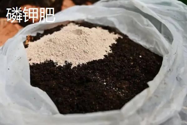 磷钾肥是磷酸二氢钾吗,它们有区别吗