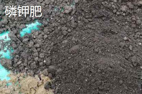 磷钾肥是磷酸二氢钾吗,它们有区别吗