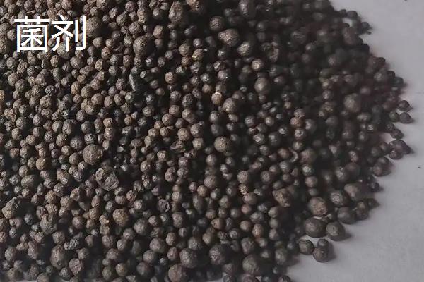菌剂和菌肥的区别,能混用吗?哪一种更好