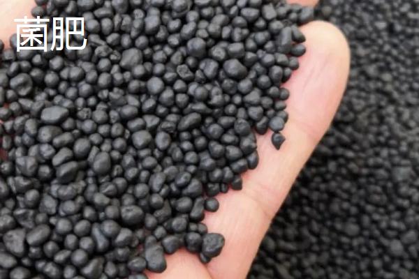 菌剂和菌肥的区别,能混用吗?哪一种更好