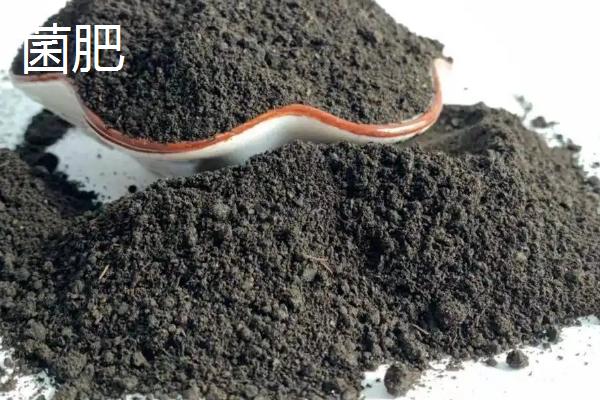 菌剂和菌肥的区别,能混用吗?哪一种更好