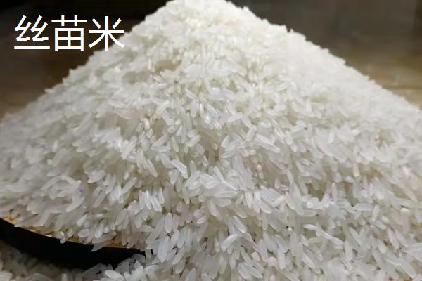 丝苗米和香米的区别,哪个糯性好更好吃