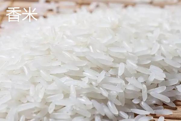 丝苗米和香米的区别,哪个糯性好更好吃