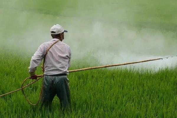 代森锰锌和甲基托布津的区别,可以混用吗